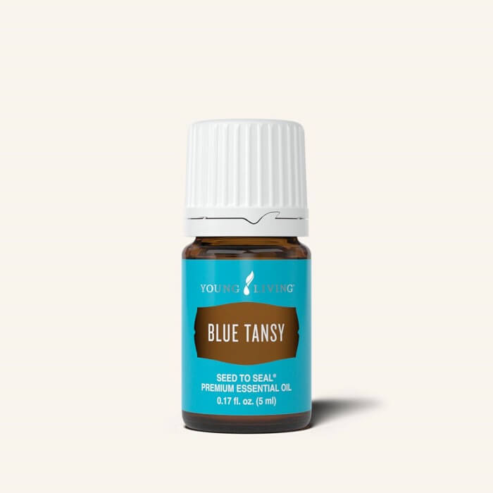 Blue Tansy