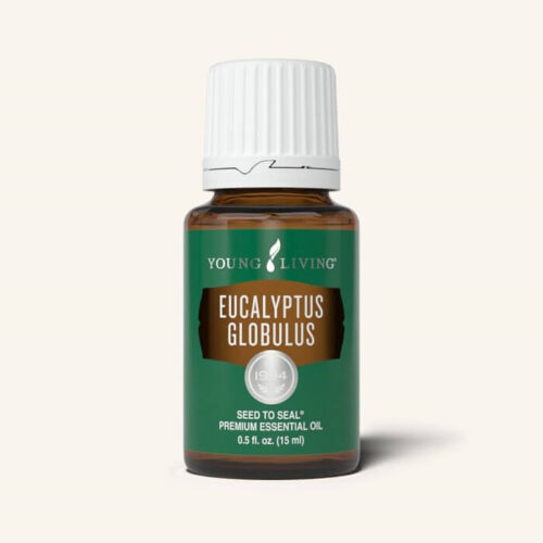EucalyptusGlobulus