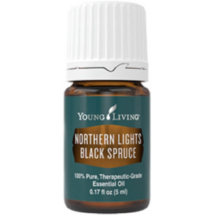 Northern Lights Black Spruce Young Living