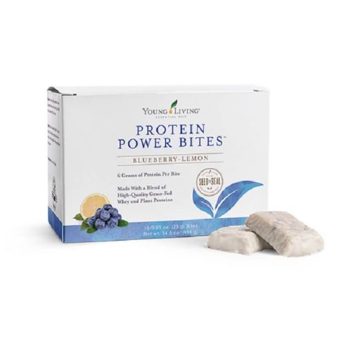 Protein Power Bites